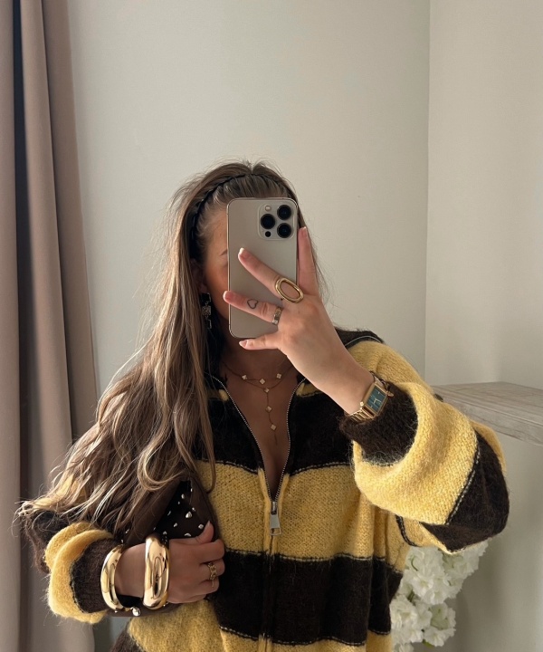 Veste Swaan